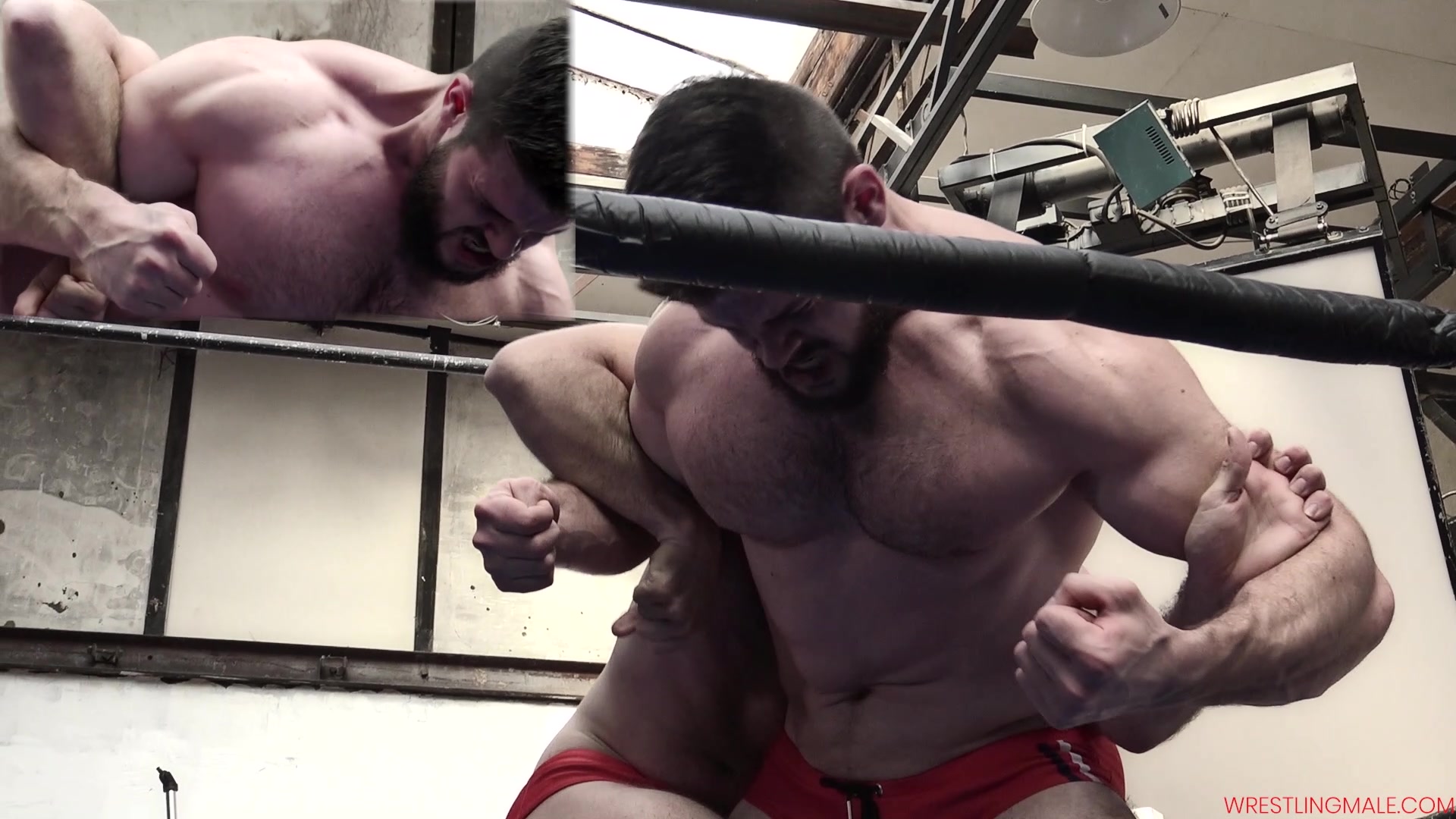 90-Trailer-Paris-Rough-house-War-17-Muscle-Beast-VS-Duck-Roys-43